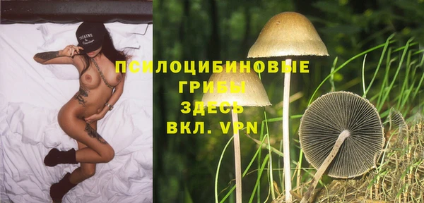 меф Каменногорск
